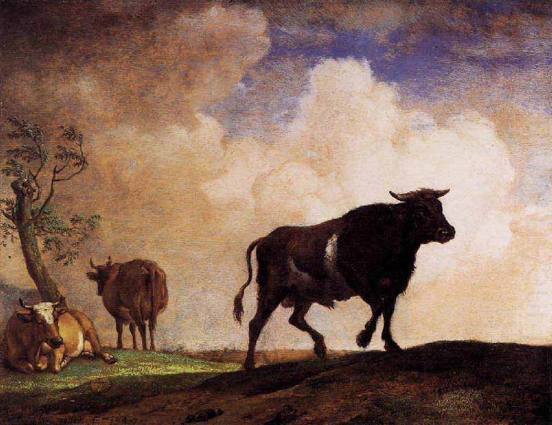 paulus potter The Bull china oil painting image